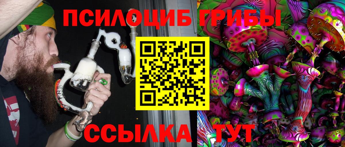 где найти   Вход с VPN  Псилоцибиновые грибы Cubensis  Чехов  Псилоцибиновые грибы мицелий 